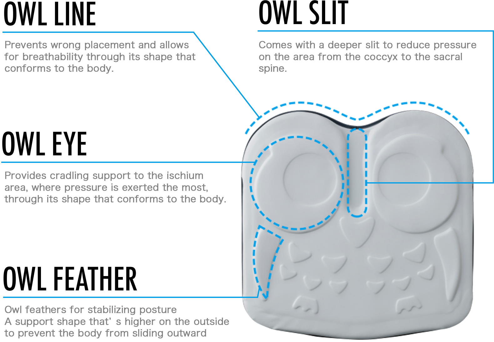 EXGEL OWL Cushion | EXGEL SEATING LAB | KAJI corporation