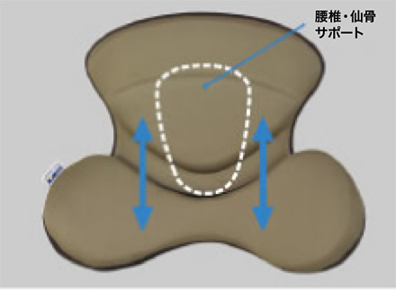 腰稚・仙骨サポート