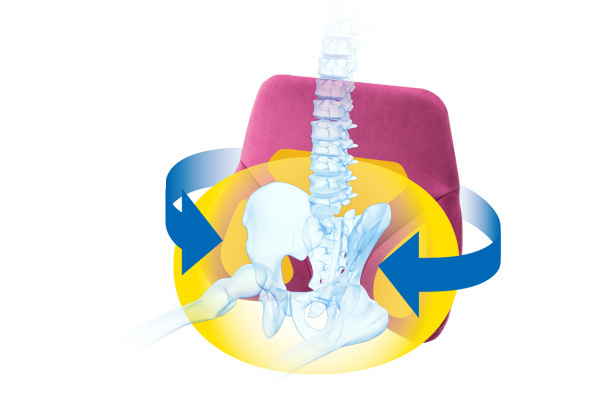 骨盤サポート構造で<br />
腰の負担を軽減。