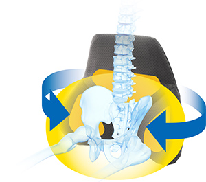 骨盤サポート構造で<br />
腰の負担を軽減。