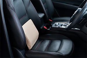 ハグドライブ ランバーパッドにラグジュアリーな最上位モデルが新登場。