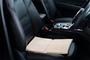 ハグドライブ シートパッドにラグジュアリーなモデルが登場。